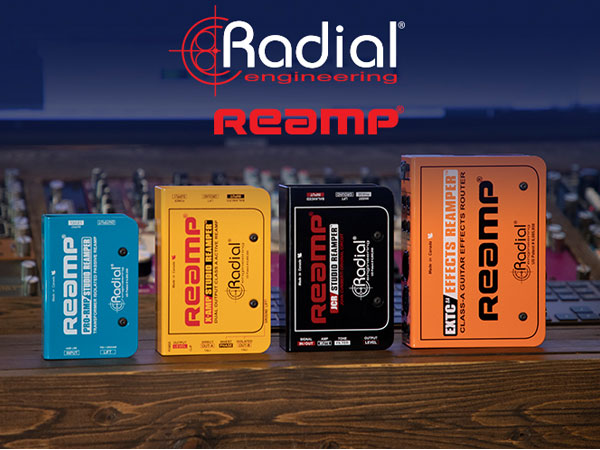 Graphic Design & Mockups